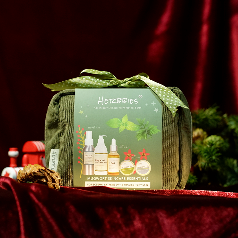 Christmas Travel Pouch Gift Set